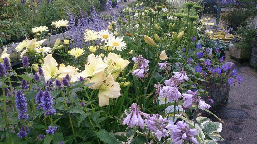 Isblått och månskensgult (2)