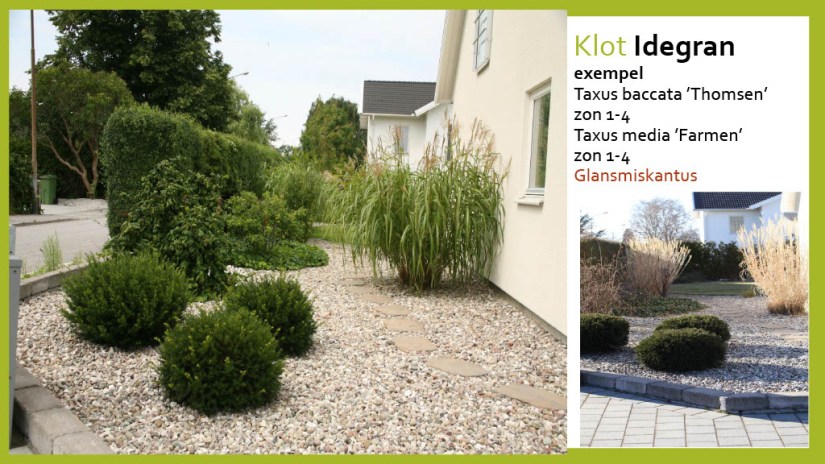 E Webbinar städsegrönt1024_26