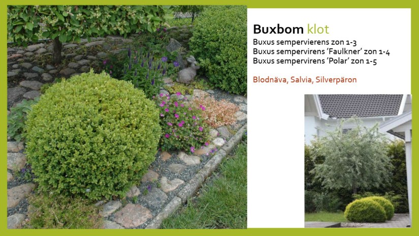 E Webbinar städsegrönt1024_29