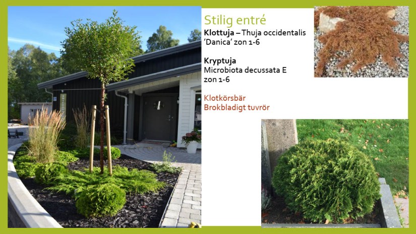 E Webbinar städsegrönt1024_31