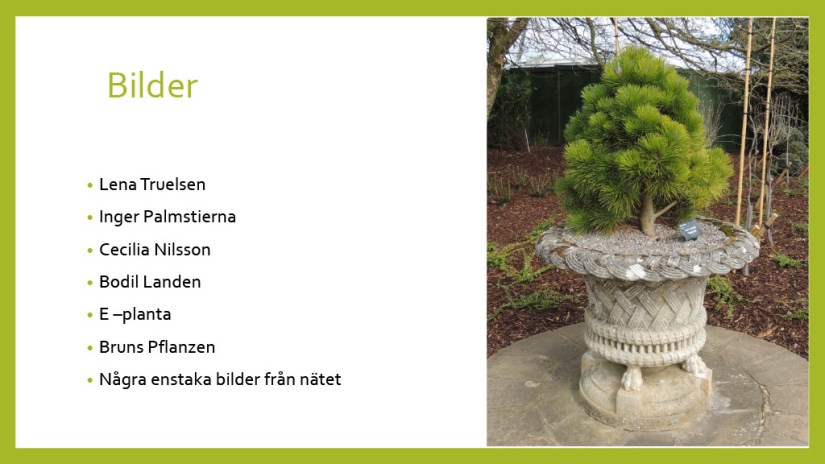 E Webbinar städsegrönt1024_45