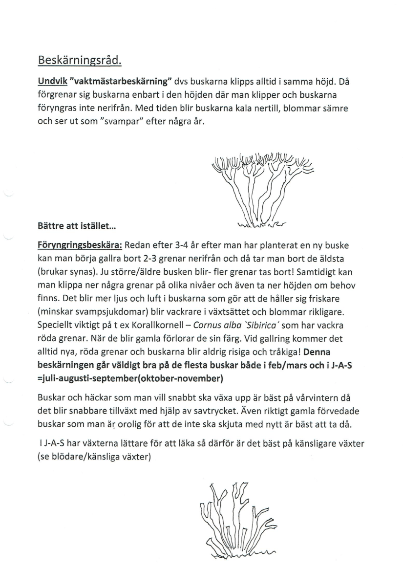 Beskärning sid 1_axel